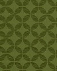 Asterling Edamame by   