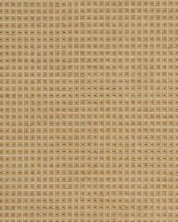 Over Stitch Champagne by   