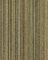 Mellow Stripe Twine by  Robert Allen 