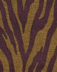 Zorse Magenta by  Robert Allen 