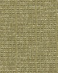 Woven Shimmer Linen by  Robert Allen 