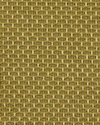 Maze Solid Camel by  Robert Allen 