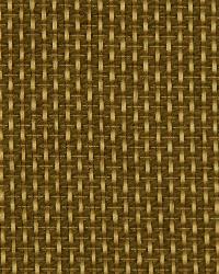 Maze Solid Butterscotch by  Robert Allen 