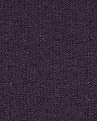 Small Stitch Aubergine by  Robert Allen 