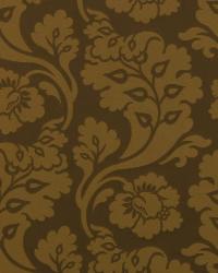 Shadow Vines Acorn by  Robert Allen 