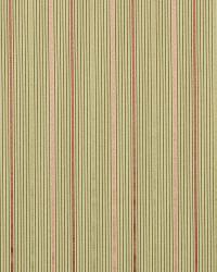 Bradys Stripe Dusty Rose by   