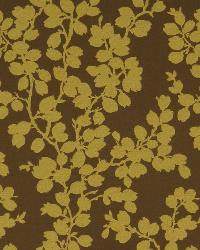 Apple Tree Pear by  Collier Campbell 