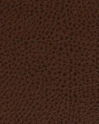 Dagett Oak by  Robert Allen 