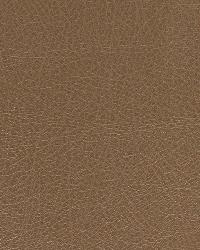 Brutus Mocha by  Robert Allen 