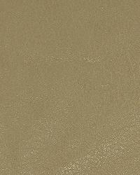 Brutus Oatmeal by  Robert Allen 