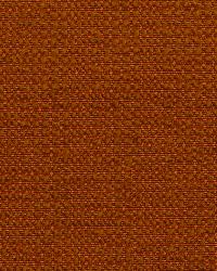 Boucle Solid Pumpkin by   