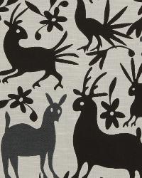 Veracruz Kohl by  Robert Allen 