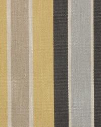 Shifted Stripe Citrine by  Robert Allen 