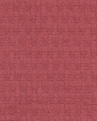 Mini Puffing Tulip by   