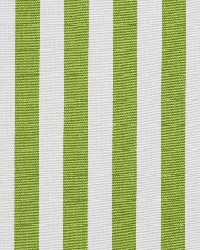Charlotte Fabrics 1290 Lime Canopy Fabric