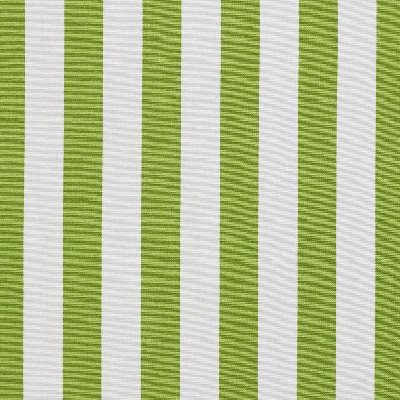 Charlotte Fabrics 1290 Lime Canopy Green Solution  Blend Fire Rated Fabric High Performance CA 117 Stripes and Plaids Outdoor 