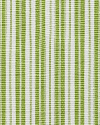 Charlotte Fabrics 1294 Lime Classic Fabric