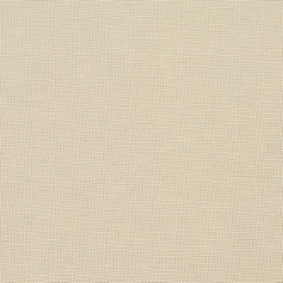 Charlotte Fabrics 20900-05 White Multipurpose Rayon  Blend Fire Rated Fabric High Wear Commercial Upholstery CA 117 NFPA 260 Damask Jacquard 