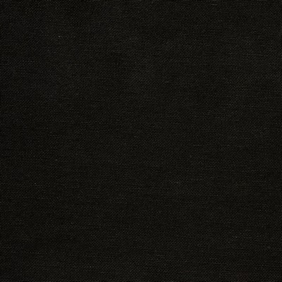 Charlotte Fabrics 20900-06 Black Multipurpose Rayon  Blend Fire Rated Fabric High Wear Commercial Upholstery CA 117 NFPA 260 Damask Jacquard 