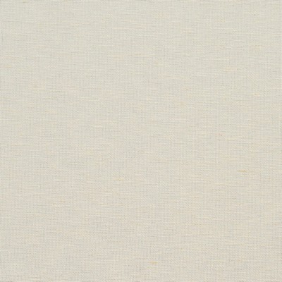 Charlotte Fabrics 20900-07 White Multipurpose Rayon  Blend Fire Rated Fabric High Wear Commercial Upholstery CA 117 NFPA 260 Damask Jacquard 