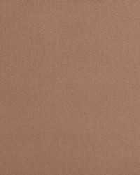 2233 Taupe  by   