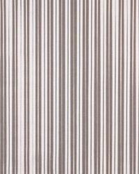 2465 Taupe Classic by  Charlotte Fabrics 
