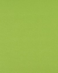 2469 Lime by  Charlotte Fabrics 