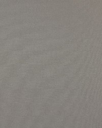 2480 Taupe by  Charlotte Fabrics 