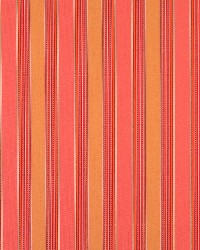 2490 Coral by  Charlotte Fabrics 