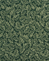 2746 Pine  by  Charlotte Fabrics 