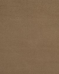 2921 Mushroom  by  Stout 