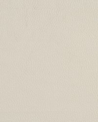 2922 Eggshell  by  Stout 