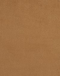 2923 Camel  by  Stout 