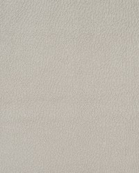 2924 Dolphin  by  Stout 