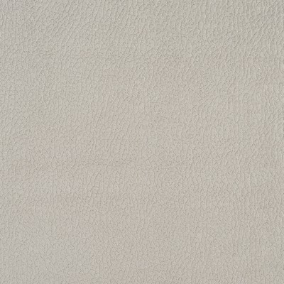 Charlotte Fabrics 2924 Dolphin Multipurpose Woven  Blend Fire Rated Fabric High Wear Commercial Upholstery CA 117 Microsuede 