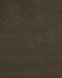 2925 Charcoal  by  Stout 