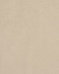 2926 Ecru  by  Stout 