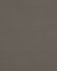 2927 Moonstone  by  Stout 