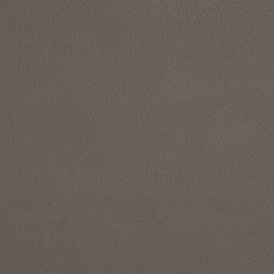 Charlotte Fabrics 2927 Moonstone Grey Multipurpose Woven  Blend Fire Rated Fabric High Wear Commercial Upholstery CA 117 Microsuede 