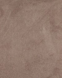 3063 Taupe by  Charlotte Fabrics 