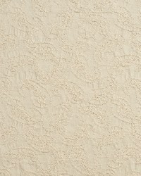 3453 Cotton by  Charlotte Fabrics 