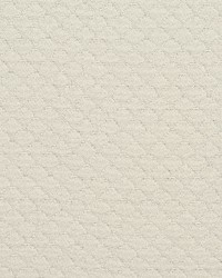 3464 Shell by  Charlotte Fabrics 