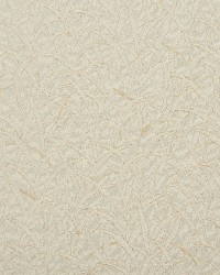 3467 Ivory by  Charlotte Fabrics 