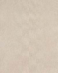 3473 Champagne by  Charlotte Fabrics 