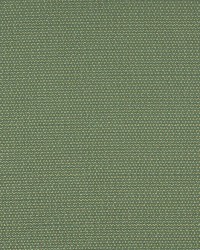 3745 Meadow by  Charlotte Fabrics 