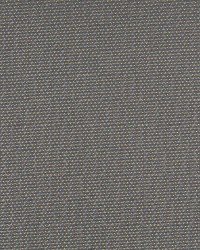 3746 Pewter by  Charlotte Fabrics 