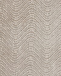 3850 Pewter Swirl by  Charlotte Fabrics 