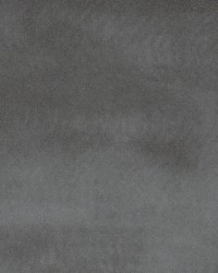 3858 Grey by  Charlotte Fabrics 