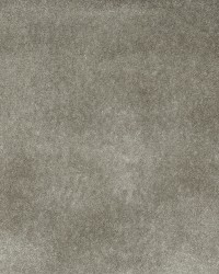 3862 Pewter by  Charlotte Fabrics 