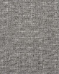 3911 Pewter  by  Charlotte Fabrics 
